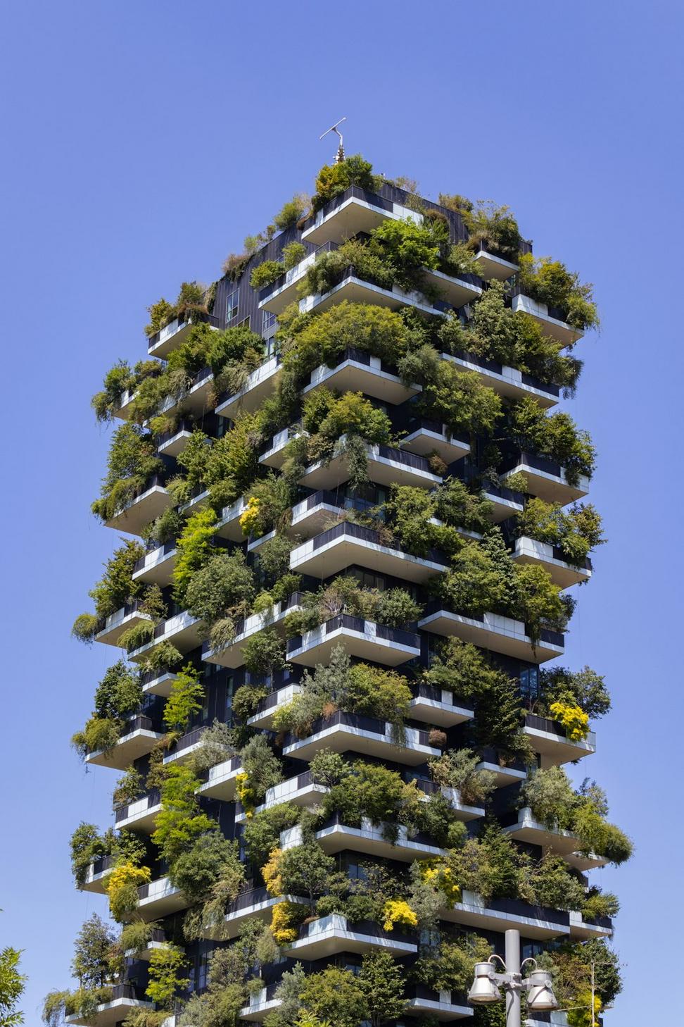 Aurora Villa